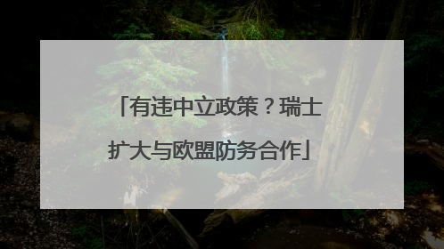 有违中立政策？瑞士扩大与欧盟防务合作