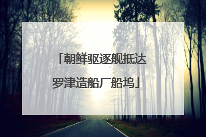 朝鲜驱逐舰抵达罗津造船厂船坞