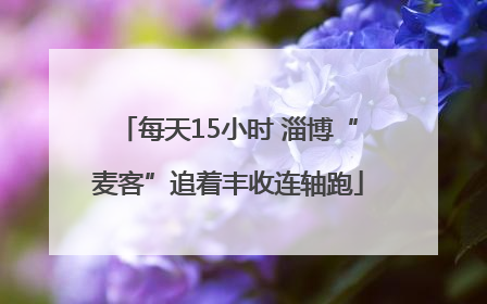 每天15小时 淄博“麦客”追着丰收连轴跑