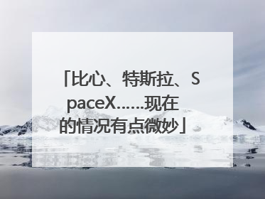 比心、特斯拉、SpaceX……现在的情况有点微妙