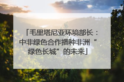 毛里塔尼亚环境部长：中非绿色合作播种非洲“绿色长城”的未来