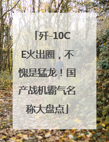 歼-10CE火出圈，不愧是猛龙！国产战机霸气名称大盘点