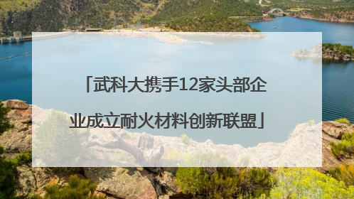 武科大携手12家头部企业成立耐火材料创新联盟