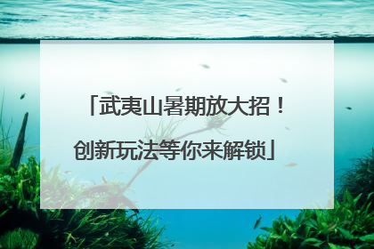 武夷山暑期放大招！创新玩法等你来解锁