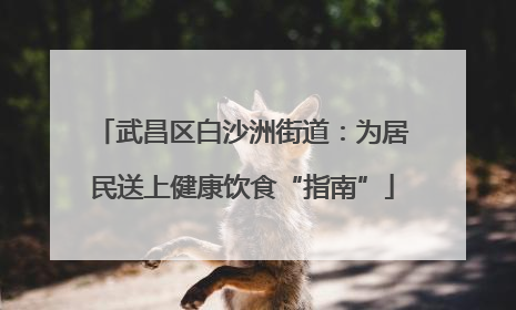武昌区白沙洲街道：为居民送上健康饮食“指南”