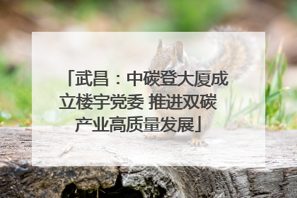 武昌：中碳登大厦成立楼宇党委 推进双碳产业高质量发展
