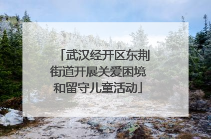 武汉经开区东荆街道开展关爱困境和留守儿童活动