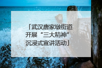 武汉唐家墩街道开展“三大精神”沉浸式宣讲活动