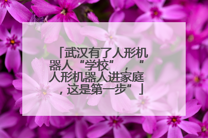 武汉有了人形机器人“学校”，“人形机器人进家庭，这是第一步”