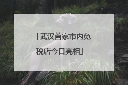 武汉首家市内免税店今日亮相