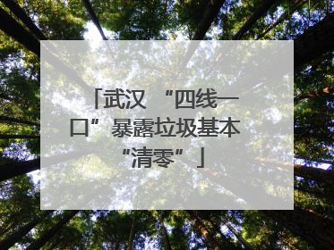 武汉 “四线一口”暴露垃圾基本 “清零”