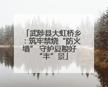 武陟县大虹桥乡：筑牢禁烧“防火墙” 守护夏粮好“丰”景
