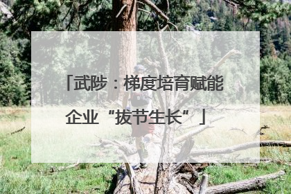 武陟：梯度培育赋能企业“拔节生长”