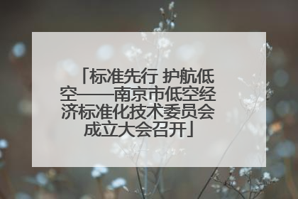 标准先行 护航低空——南京市低空经济标准化技术委员会成立大会召开