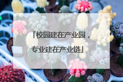 校园建在产业园，专业建在产业链