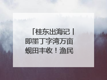 桂东出海记丨即墨丁字湾万亩蚬田丰收！渔民泥里挖蚬，一天上岸过千斤