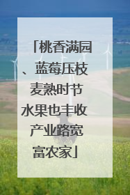 桃香满园、蓝莓压枝 麦熟时节水果也丰收 产业路宽富农家