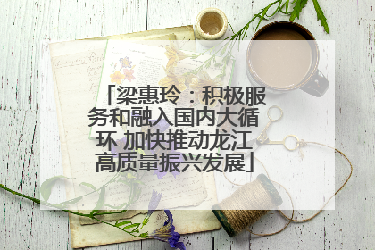 梁惠玲：积极服务和融入国内大循环 加快推动龙江高质量振兴发展