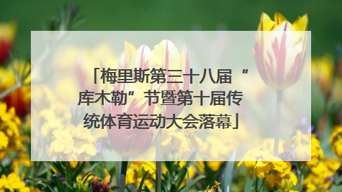 梅里斯第三十八届“库木勒”节暨第十届传统体育运动大会落幕