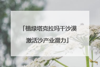 植绿塔克拉玛干沙漠 激活沙产业潜力