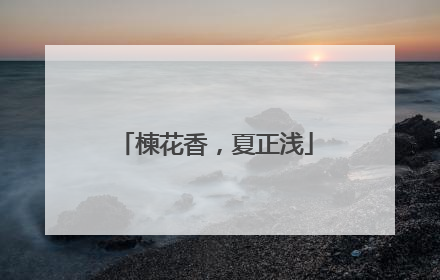 楝花香，夏正浅