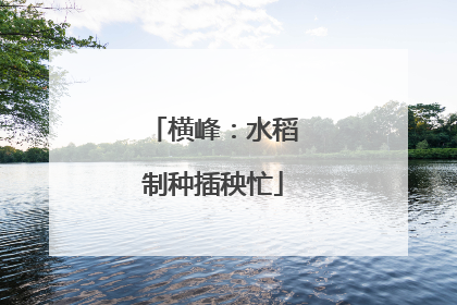 横峰：水稻制种插秧忙