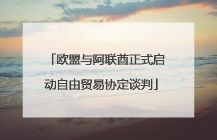 欧盟与阿联酋正式启动自由贸易协定谈判