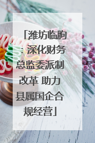 潍坊临朐：深化财务总监委派制改革 助力县属国企合规经营