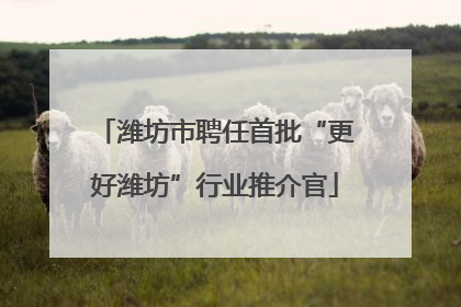 潍坊市聘任首批“更好潍坊”行业推介官