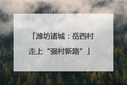 潍坊诸城：岳西村走上“强村新路”