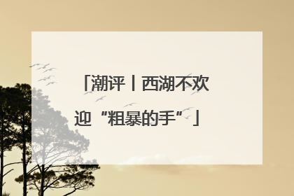 潮评丨西湖不欢迎“粗暴的手”