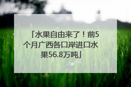 水果自由来了！前5个月广西各口岸进口水果56.8万吨