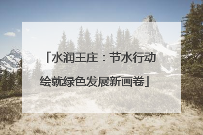 水润王庄：节水行动绘就绿色发展新画卷