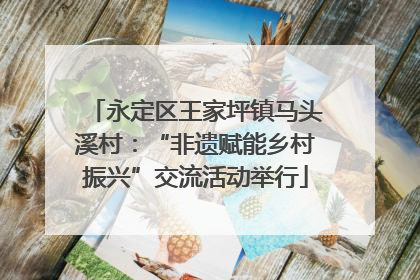 永定区王家坪镇马头溪村：“非遗赋能乡村振兴”交流活动举行