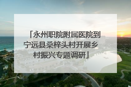 永州职院附属医院到宁远县桑梓头村开展乡村振兴专题调研