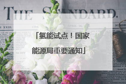 氢能试点！国家能源局重要通知