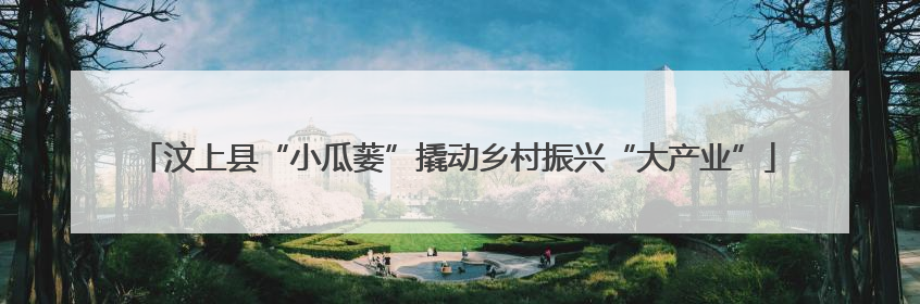 汶上县“小瓜蒌”撬动乡村振兴“大产业”