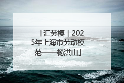 汇劳模｜2025年上海市劳动模范——杨洪山