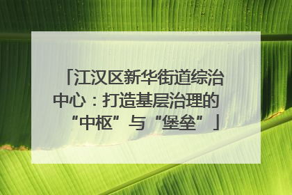江汉区新华街道综治中心：打造基层治理的“中枢”与“堡垒”