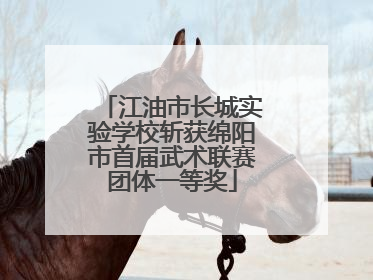 江油市长城实验学校斩获绵阳市首届武术联赛团体一等奖