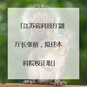 江苏省科技厅副厅长张桥，拟任本科院校正职