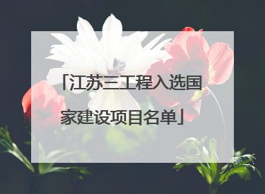江苏三工程入选国家建设项目名单