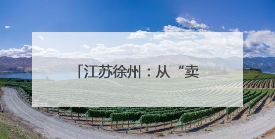 江苏徐州：从“卖葡萄”到“卖风景、卖体验”阳光玫瑰“葡”就致富路