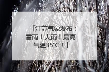 江苏气象发布：雷雨！大雨！最高气温35℃！