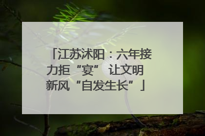 江苏沭阳：六年接力拒“宴” 让文明新风“自发生长”