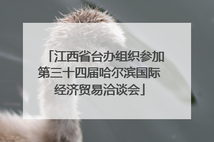 江西省台办组织参加第三十四届哈尔滨国际经济贸易洽谈会