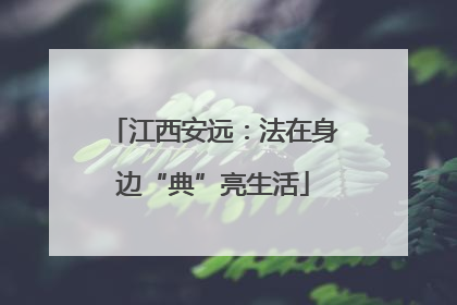 江西安远：法在身边“典”亮生活