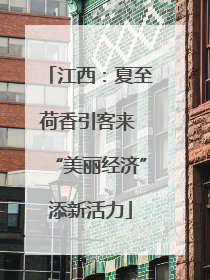 江西：夏至荷香引客来 “美丽经济”添新活力
