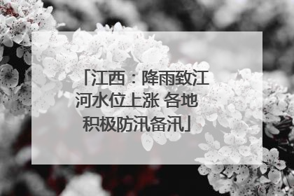 江西：降雨致江河水位上涨 各地积极防汛备汛