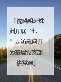 沈晓明赴株洲开展“七一”走访慰问并为基层党支部讲党课